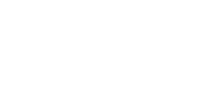 natsync_logo